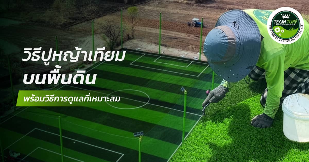 01 SEO Team Turfs Nov25 (1)