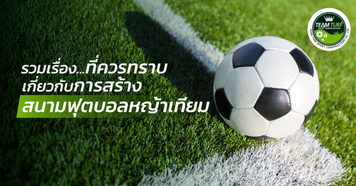 Team Turfs SEO DEC 2025 banner