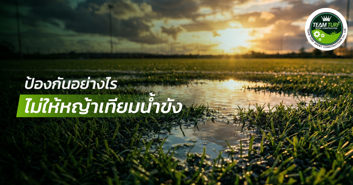 03 SEO Team Turfs JAN26