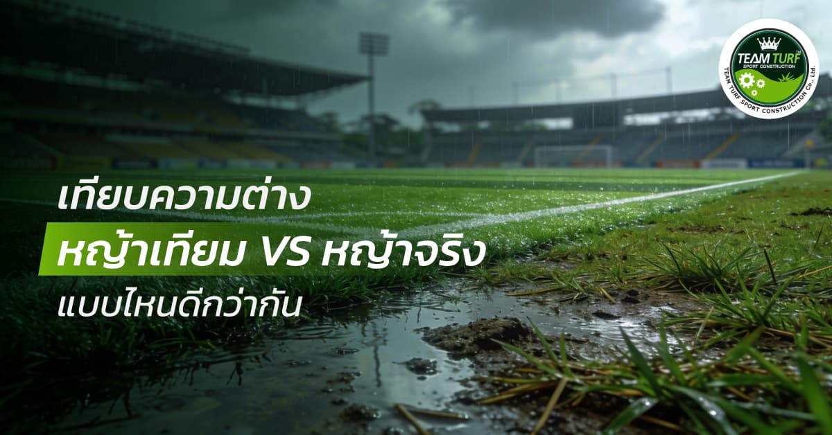 Team Turfs SEO FEB 2026 banner